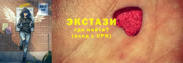 крисы Корсаков