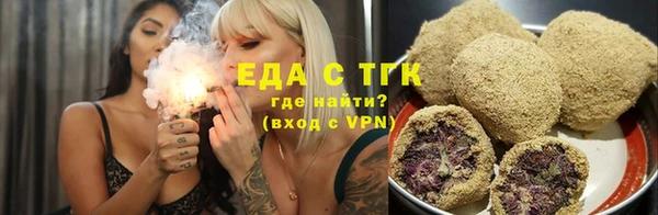 крисы Корсаков