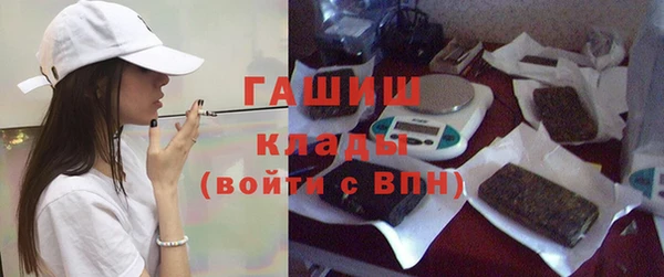 индика Костерёво