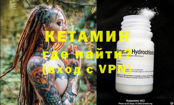 крисы Корсаков
