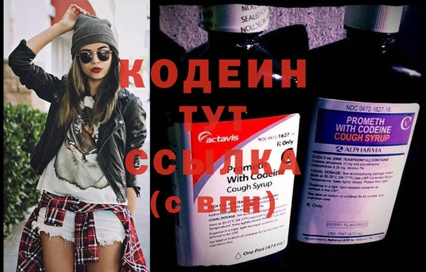 крисы Корсаков