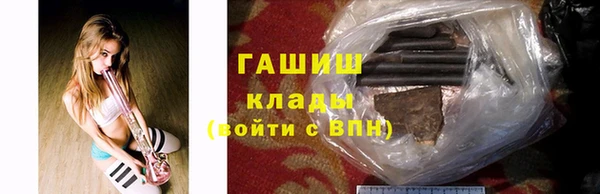 крисы Корсаков