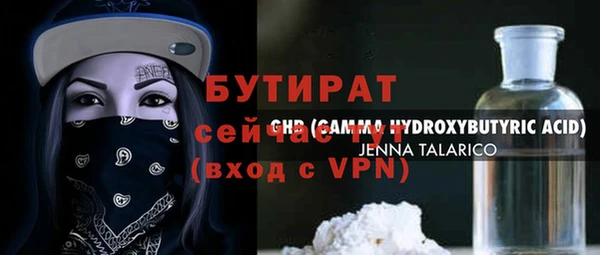 крисы Корсаков