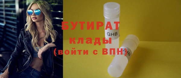 крисы Корсаков