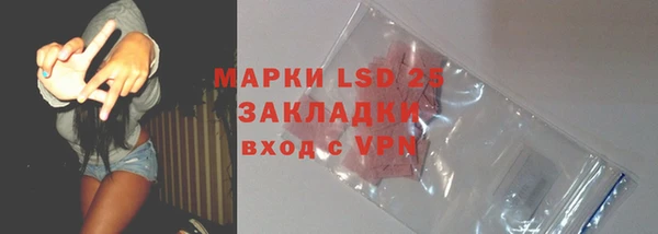 индика Костерёво