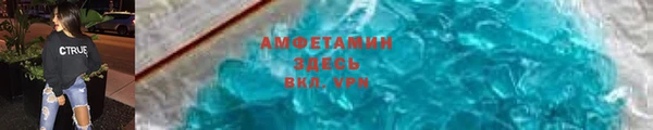крисы Корсаков