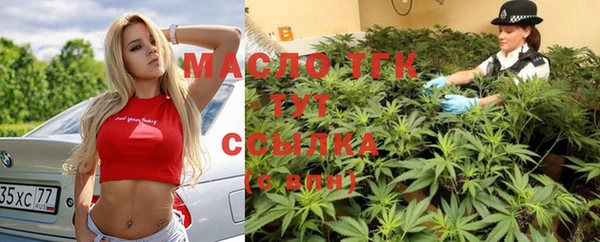индика Костерёво