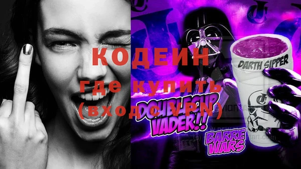 индика Костерёво