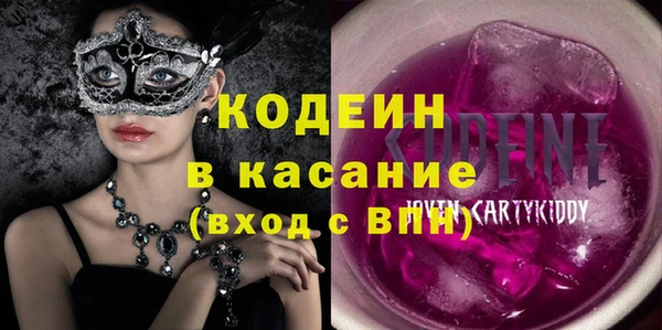 крисы Корсаков