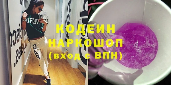 крисы Корсаков