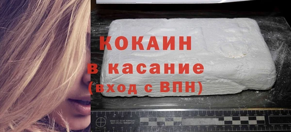 крисы Корсаков
