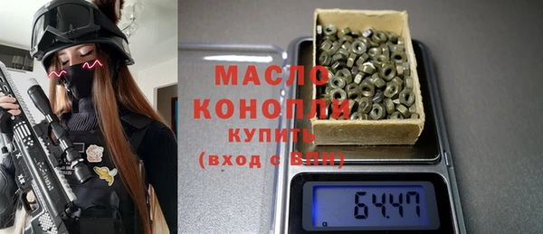 индика Костерёво