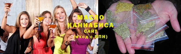 крисы Корсаков
