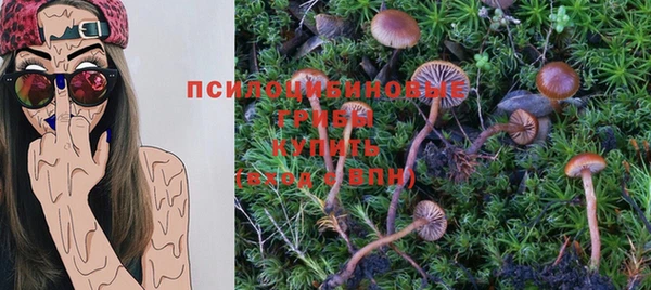 индика Костерёво