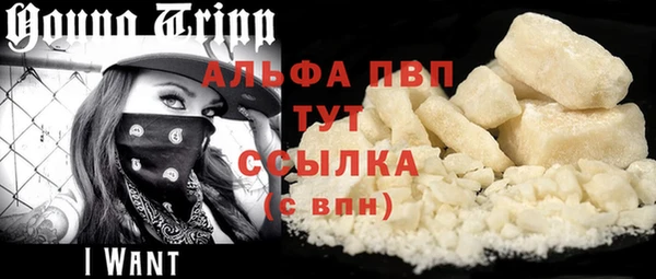 крисы Корсаков