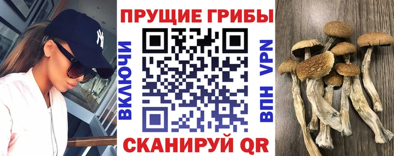 Галлюциногенные грибы ЛСД  Купить  Ульяновск 